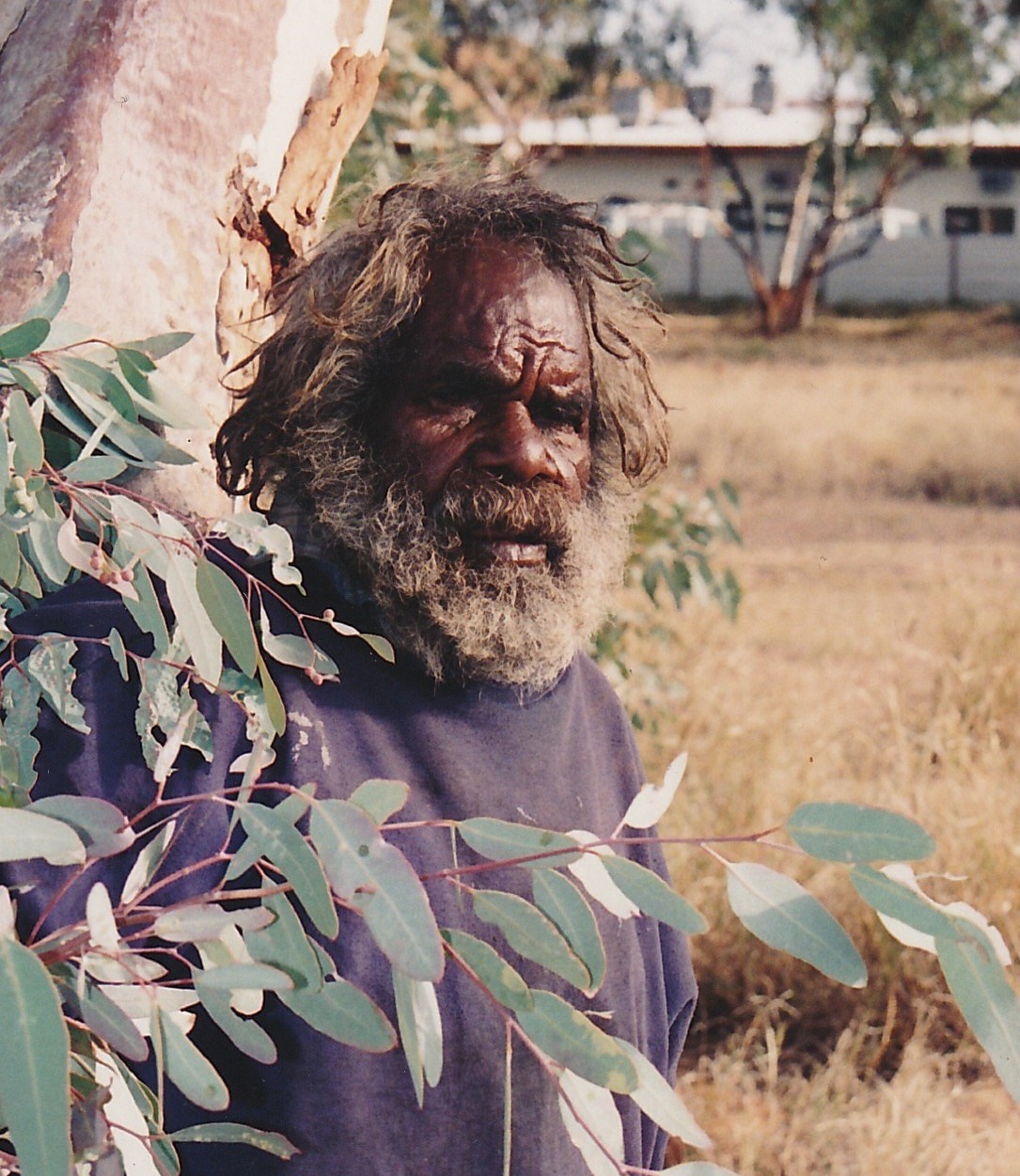 Johnny Warangkula Jupurrula Photo